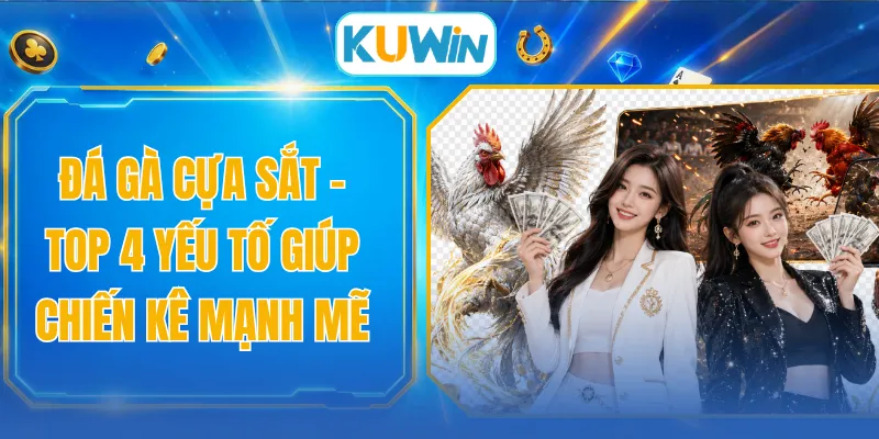 Đá Gà Cựa Sắt - Top 4 Yếu Tố Giúp Chiến Kê Mạnh Mẽ